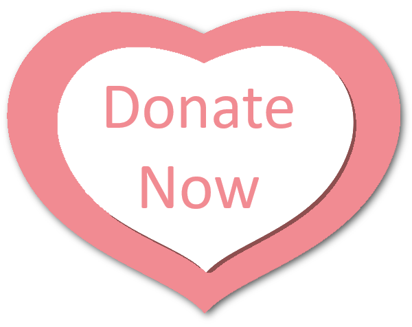 Donate Now